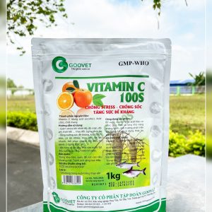 VITAMIN C 100S
